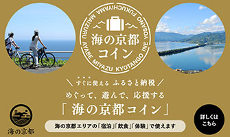 ふるさと納税海の京都コイン